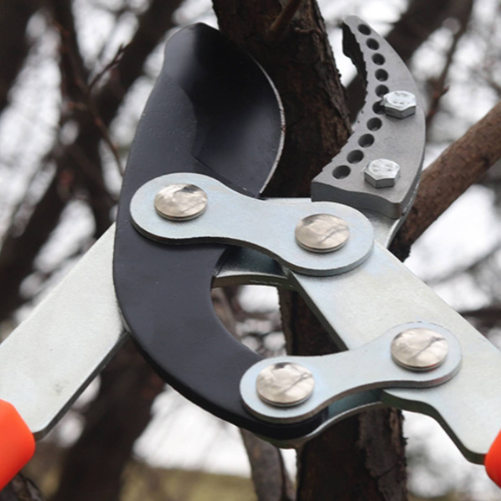 Gardening Tools In - Telescopische takkenknippers Scherp mes Robuuste boomknippers