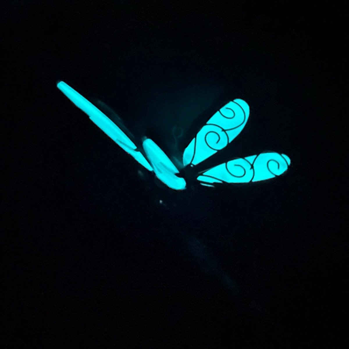 A78I Windgong Dragonfly Windgo - Gardening Hand Tools B&Q recensie en prijs