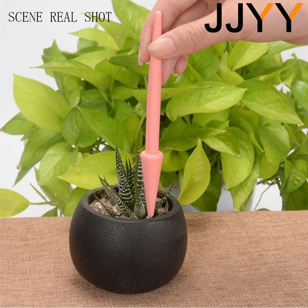 4-delige mini succulenten plan - Gardening Tools And Accessories recensie en prijs