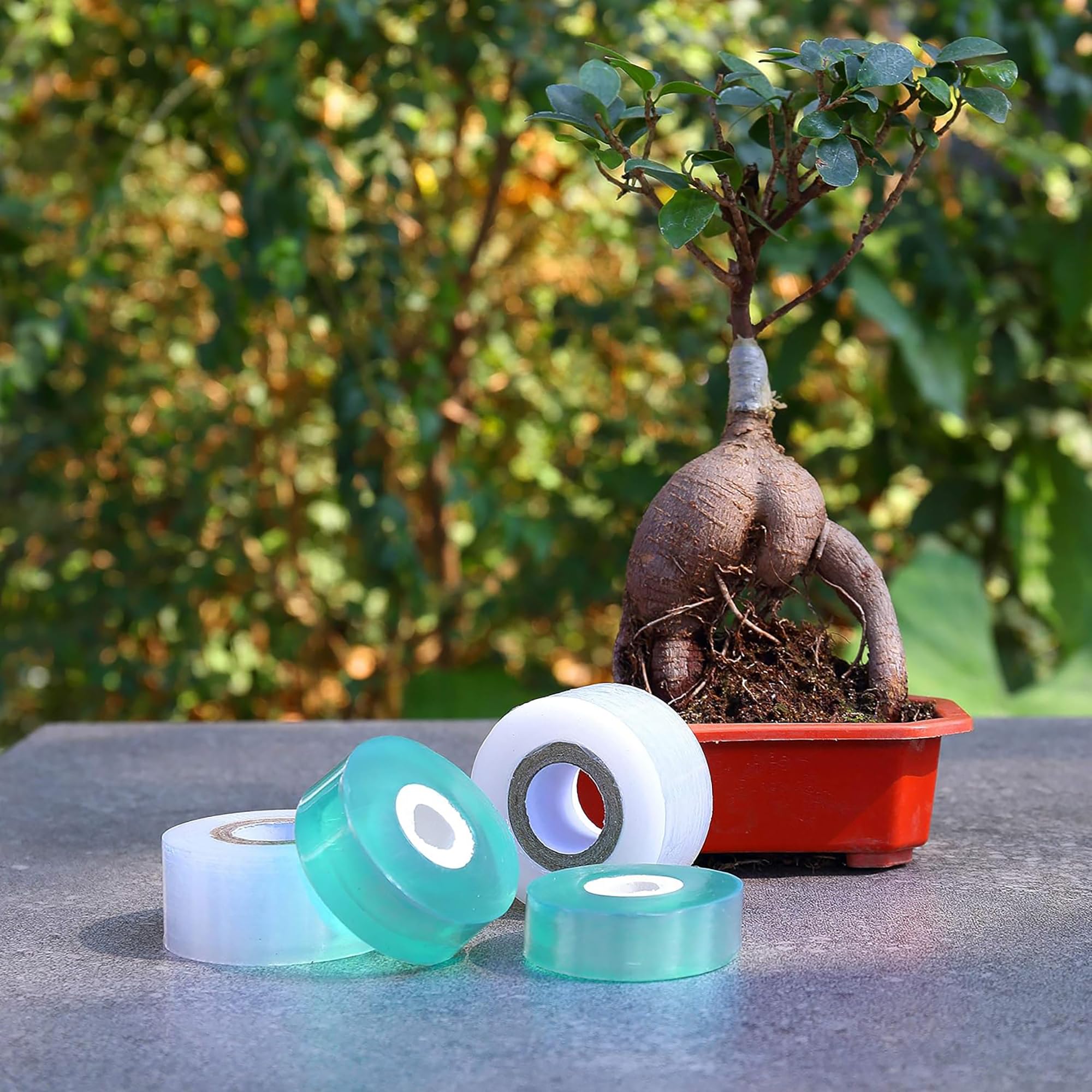 Gemakkelijk te gebruiken Biolo - Gardening Tools And Uses recensie en prijs