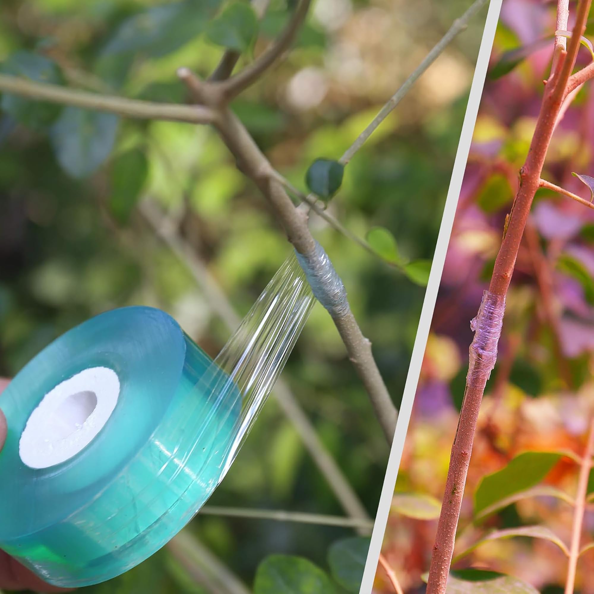 Gemakkelijk te gebruiken Biolo - Gardening Tools And Uses recensie en prijs