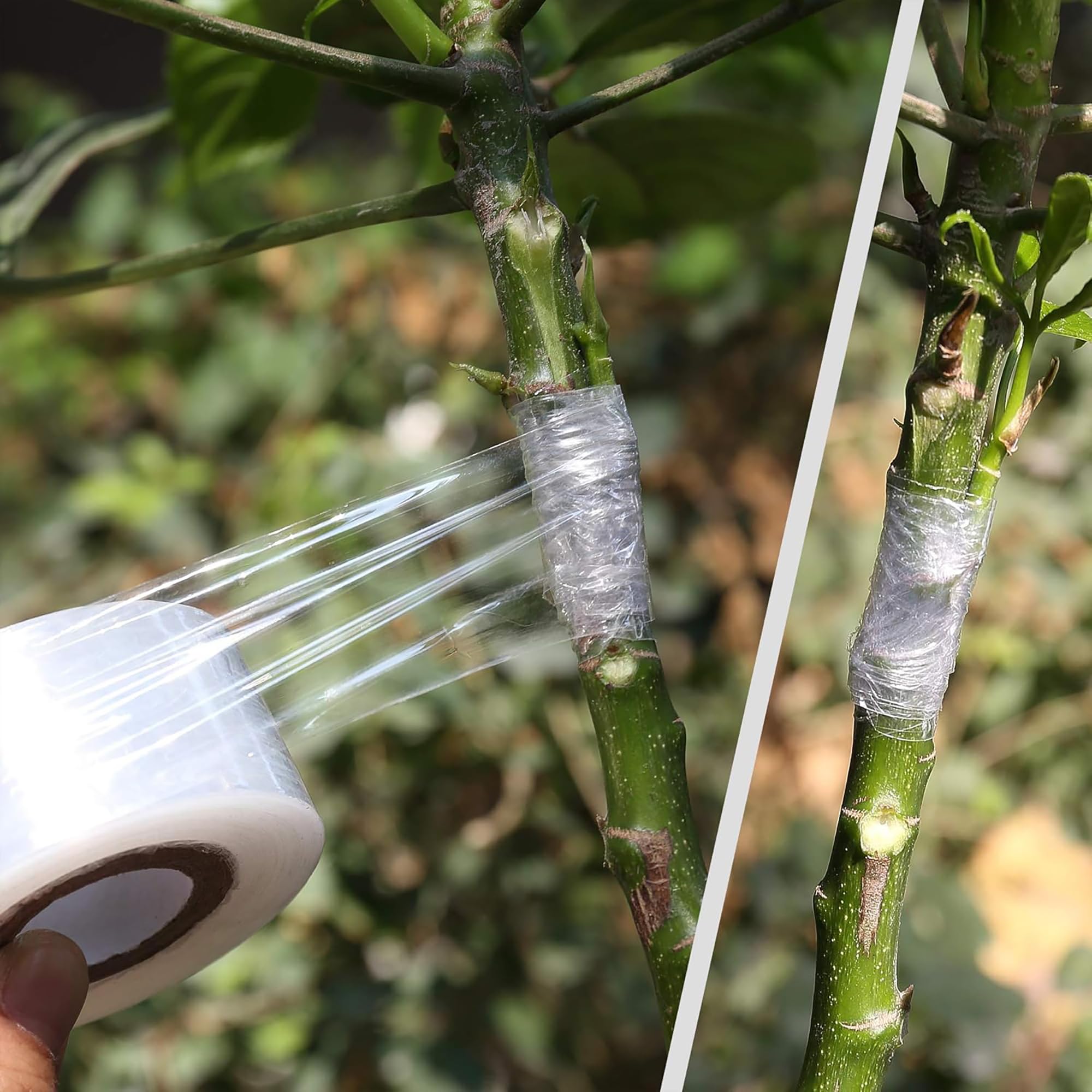 Gemakkelijk te gebruiken Biolo - Gardening Tools And Uses recensie en prijs