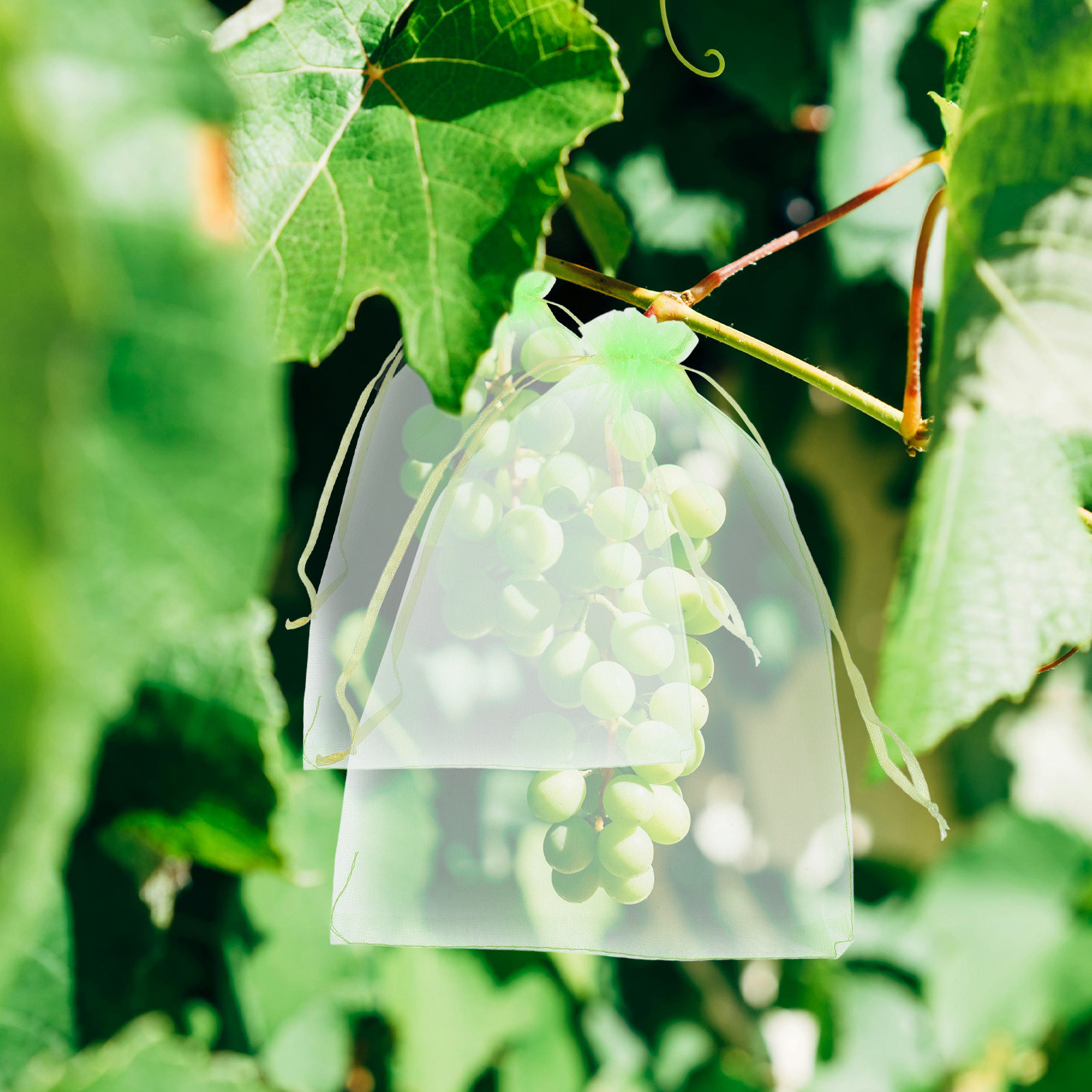 30 stuks fruitnetzakken met tr - Garden Netting Cover recensie en prijs