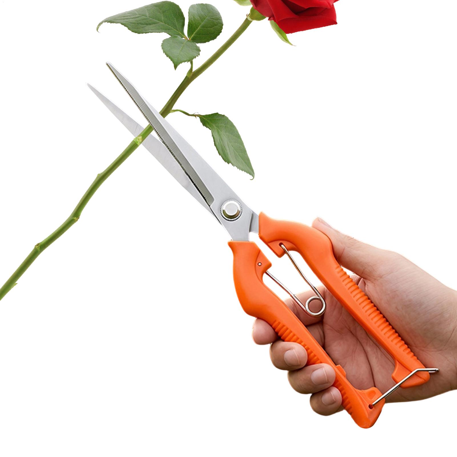 Snoeischaar Druivenschaar Tuin - Gardening Tools Women recensie en prijs
