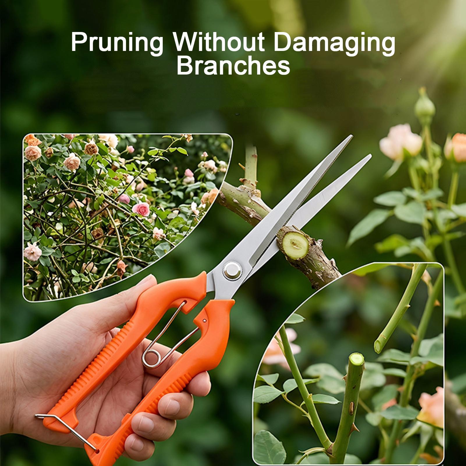 Snoeischaar Druivenschaar Tuin - Gardening Tools Women recensie en prijs