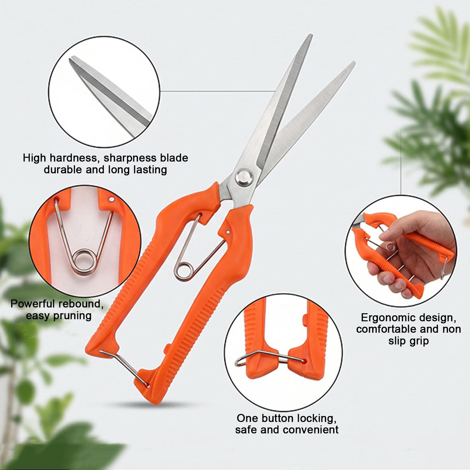 Snoeischaar Druivenschaar Tuin - Gardening Tools Women recensie en prijs