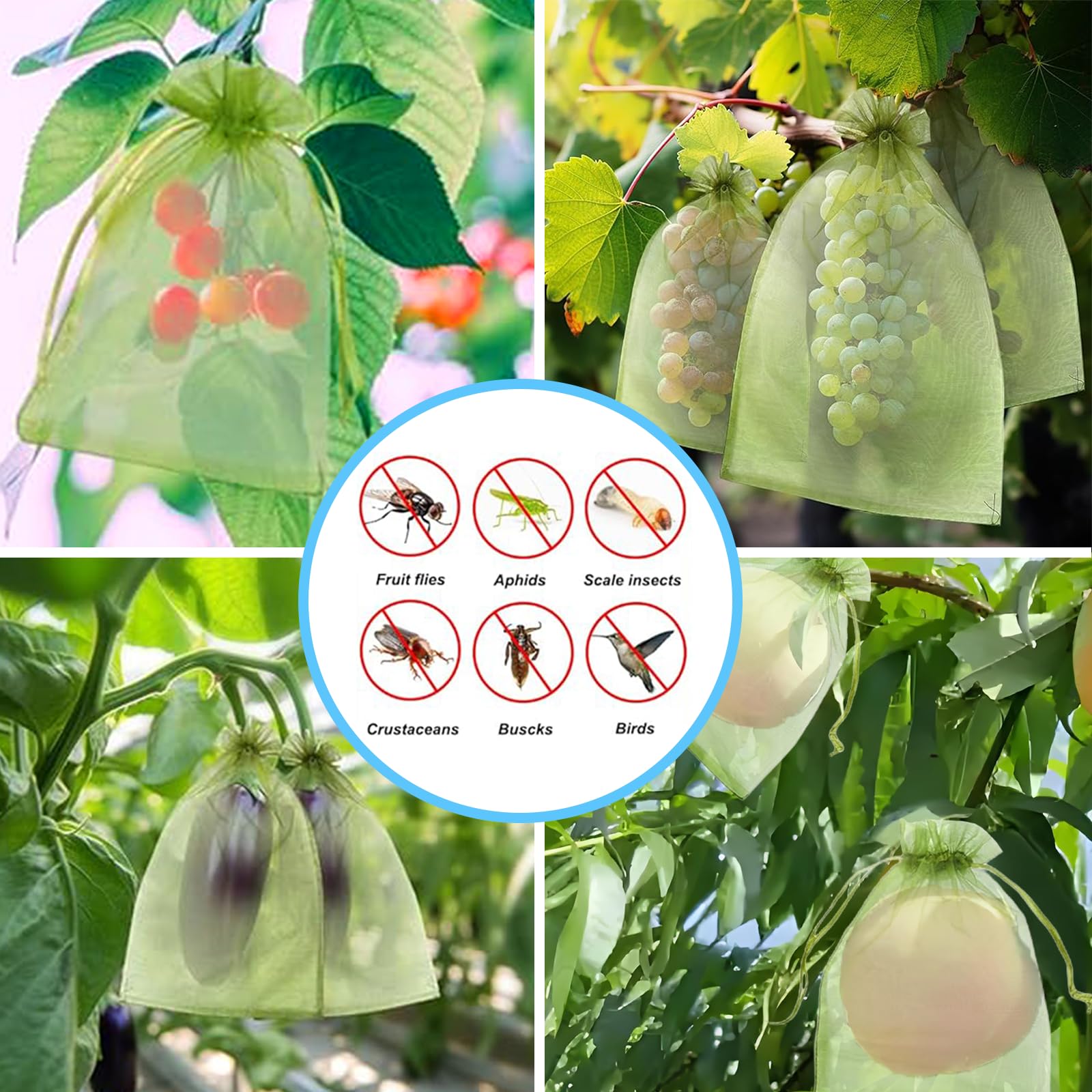 Effectieve anti-vogelnetten, f - Garden Netting Cover recensie en prijs