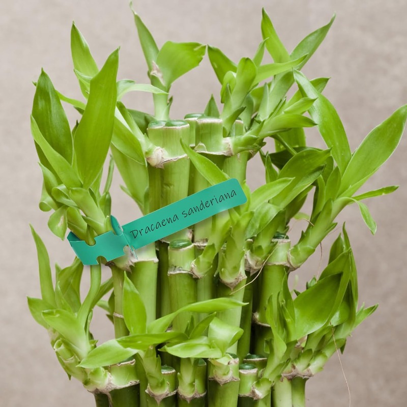 Plantenlabel / Boommarker / Tu - Plant Label Tags recensie en prijs