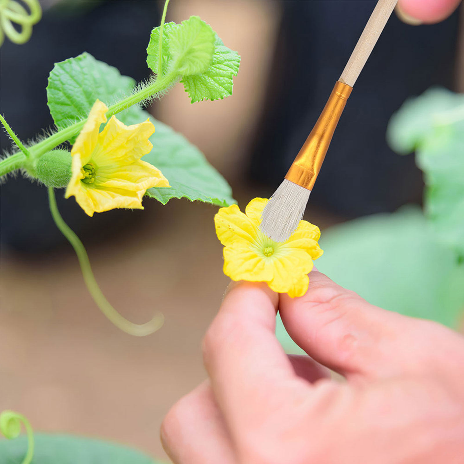 16-delige bloemenpollenborstel - Gardening Tools Kit recensie en prijs