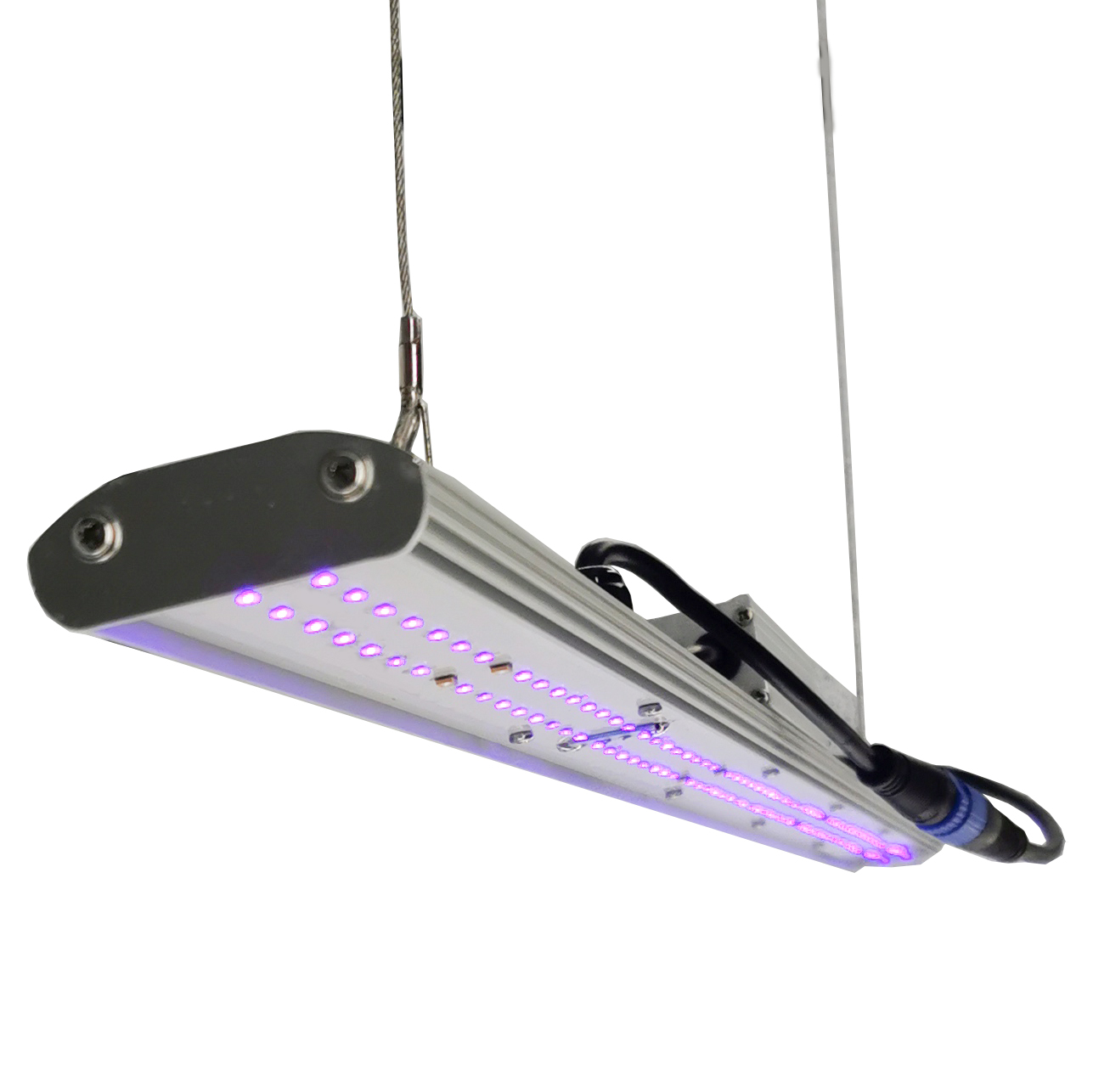 DANSE LED Handmatige Dimmer LE - Led Grow Light recensie en prijs