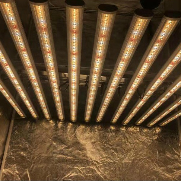 LUX China Fabriek Led Plantver - Led Grow Light recensie en prijs