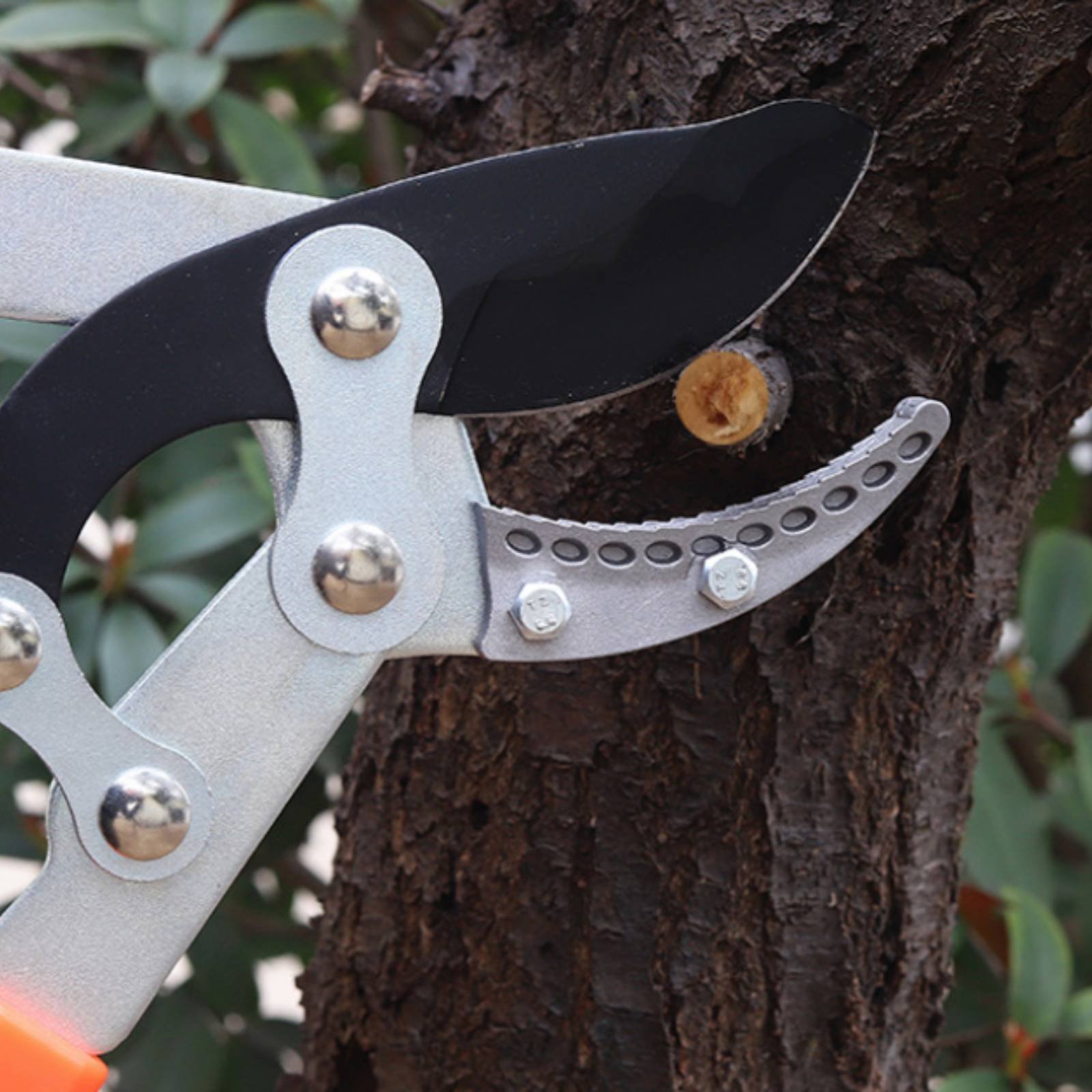 Telescopische takkenknippers S - Gardening Tools In recensie en prijs