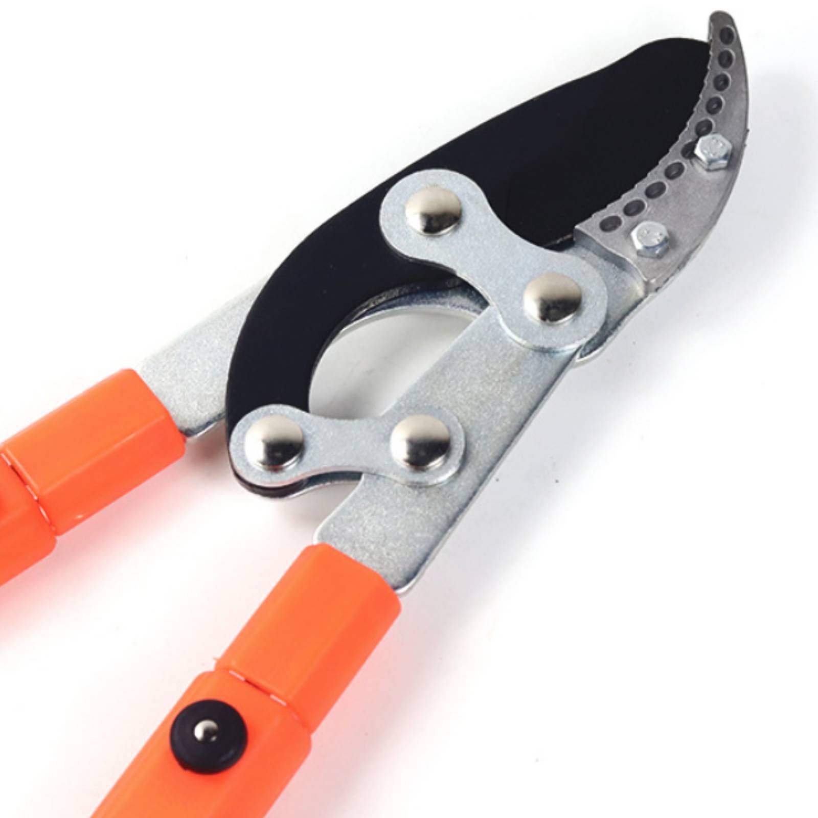 Telescopische takkenknippers S - Gardening Tools In recensie en prijs