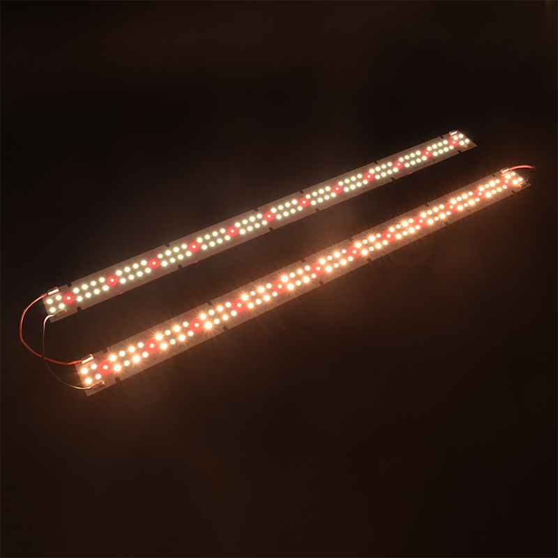 Hoge kwaliteit IP55 gecertific - Led Grow Light recensie en prijs