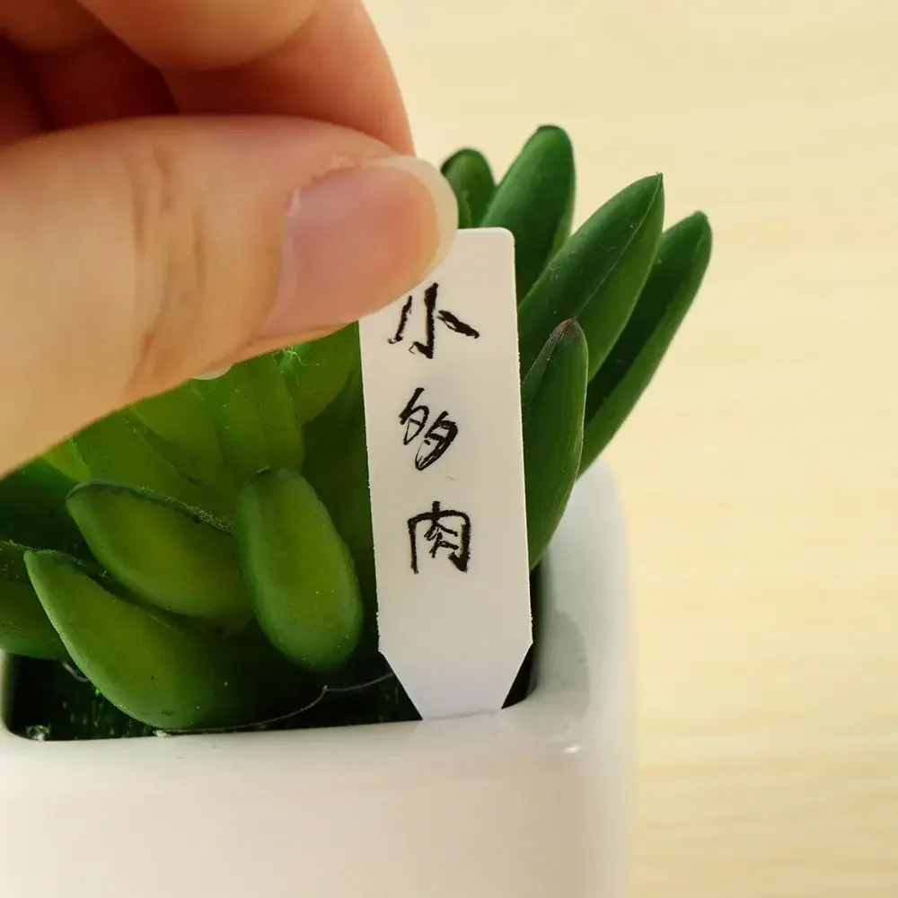 100 Stuks Herbruikbare Classif - Plant Label Tags recensie en prijs