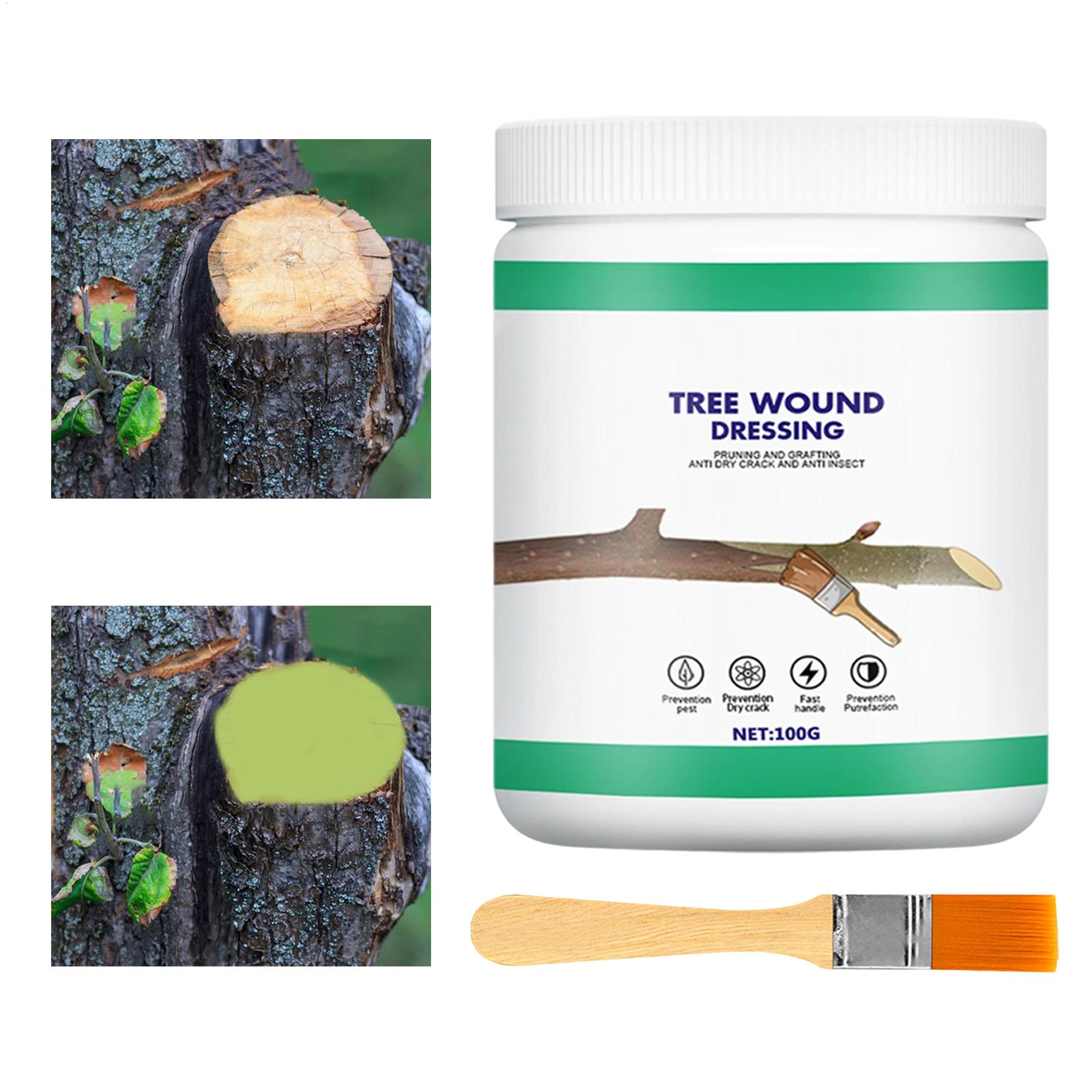 Boomverzorgingspasta, wondpast - Gardening Tools Women recensie en prijs