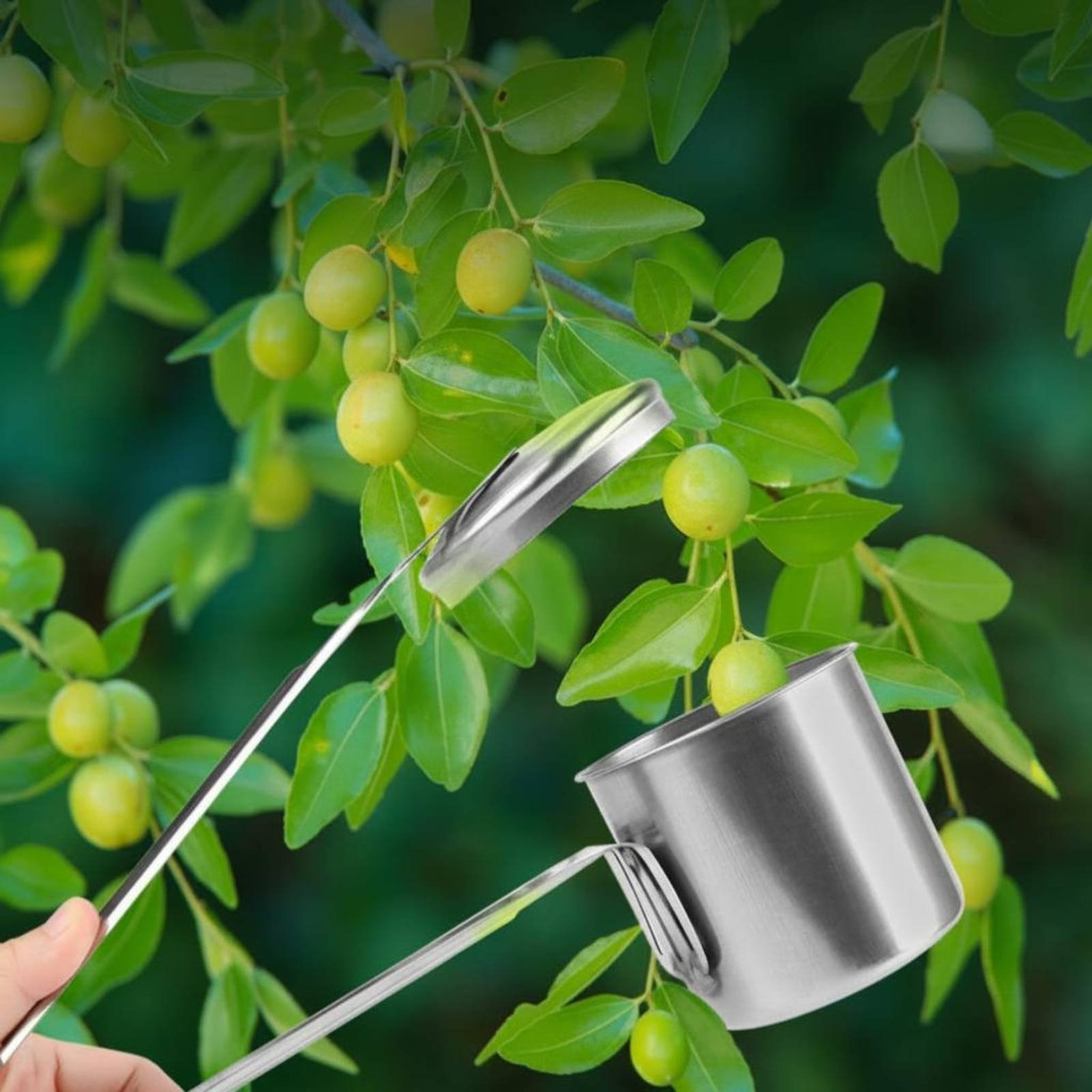 Cup Fruit Picker Roestvrijstal - Gardening Tools And Uses recensie en prijs