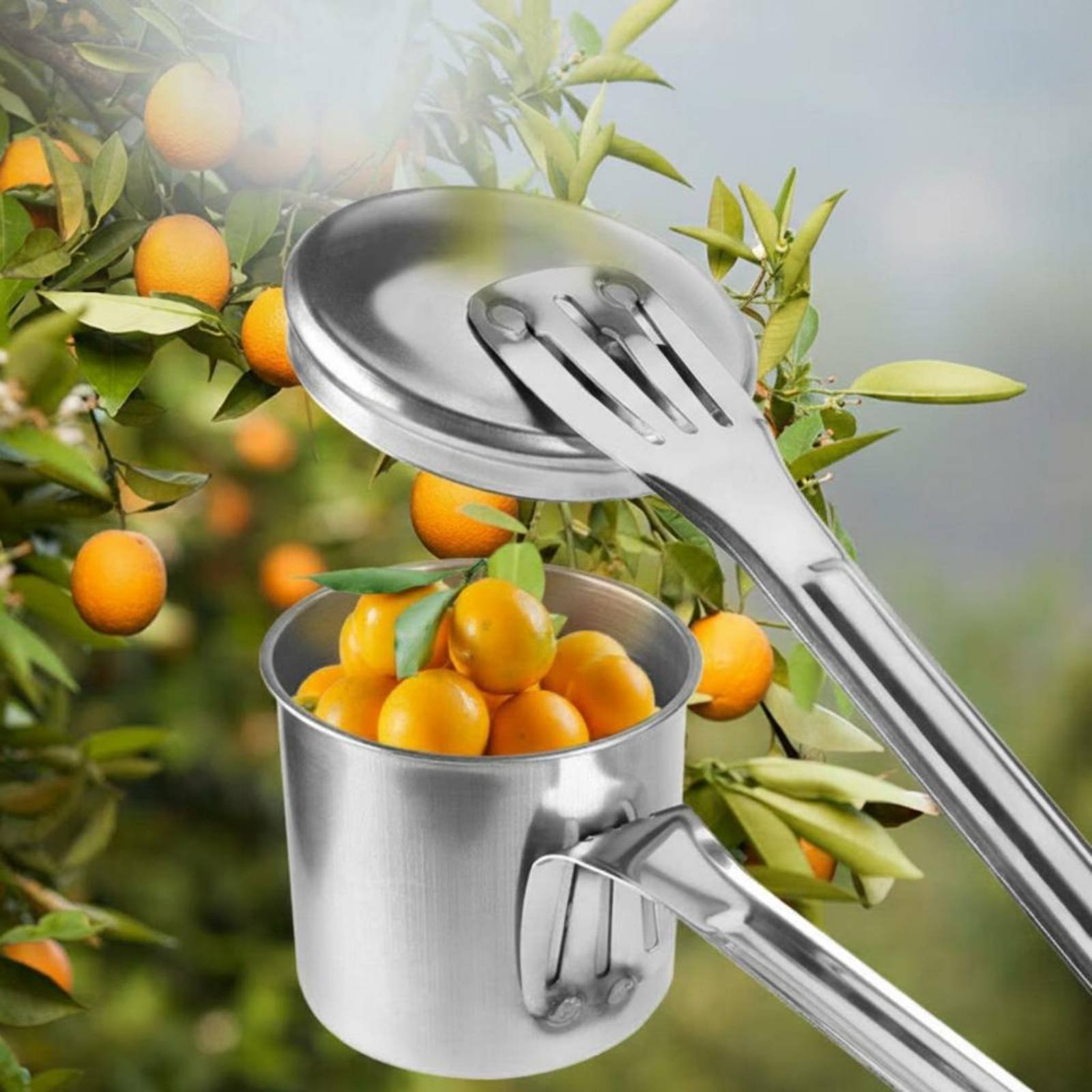 Cup Fruit Picker Roestvrijstal - Gardening Tools And Uses recensie en prijs